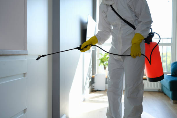 Best Residential Mold Removal  in Beechwood, MI