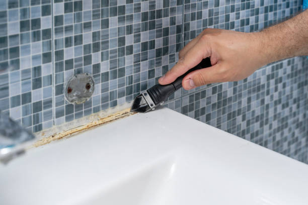 Best Mold Remediation  in Beechwood, MI