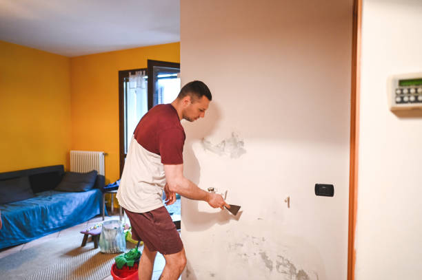 Best Certified Mold Removal  in Beechwood, MI